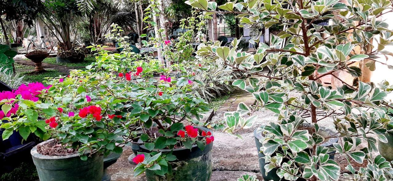 Cinnamon Garden - Hiriketiya Dikwella Exteriör bild