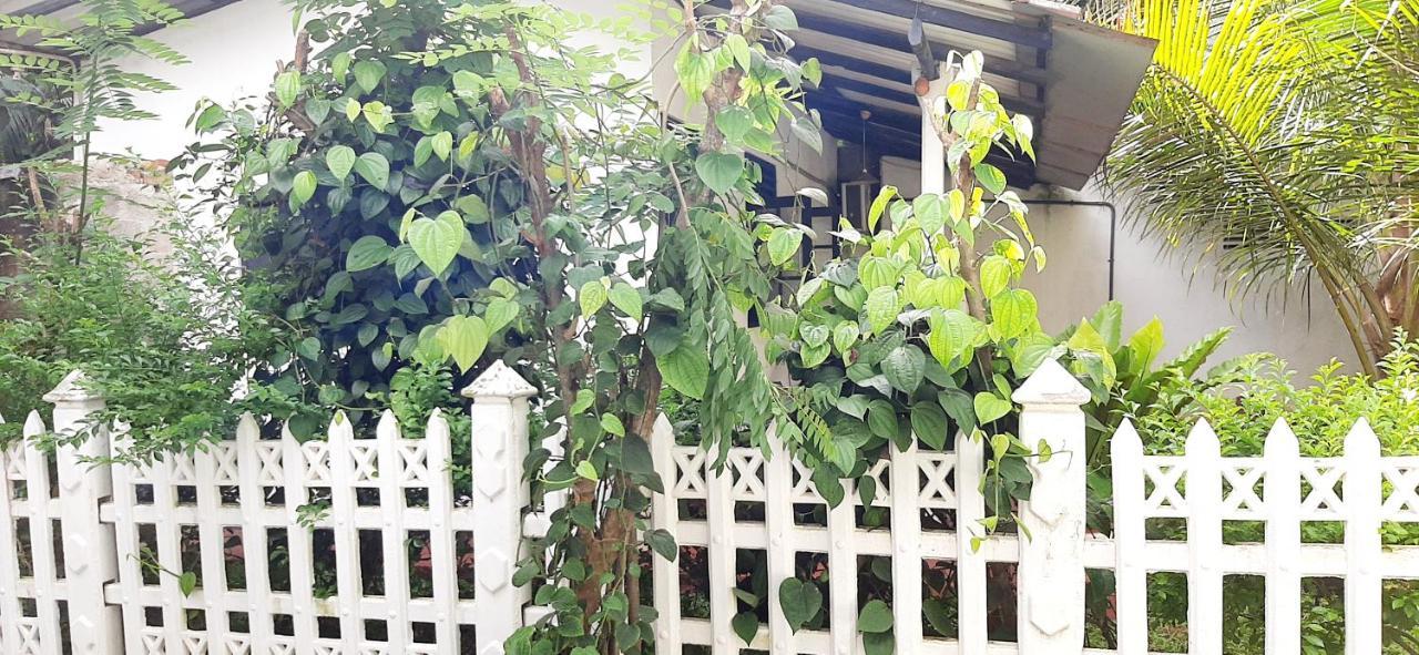 Cinnamon Garden - Hiriketiya Dikwella Exteriör bild