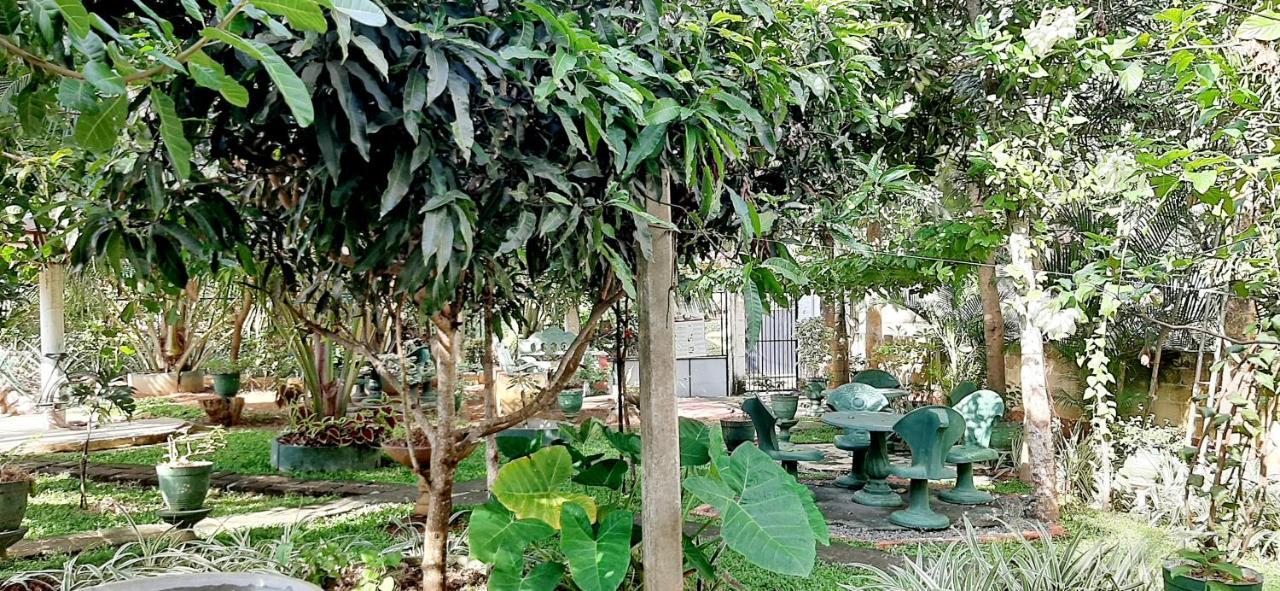 Cinnamon Garden - Hiriketiya Dikwella Exteriör bild