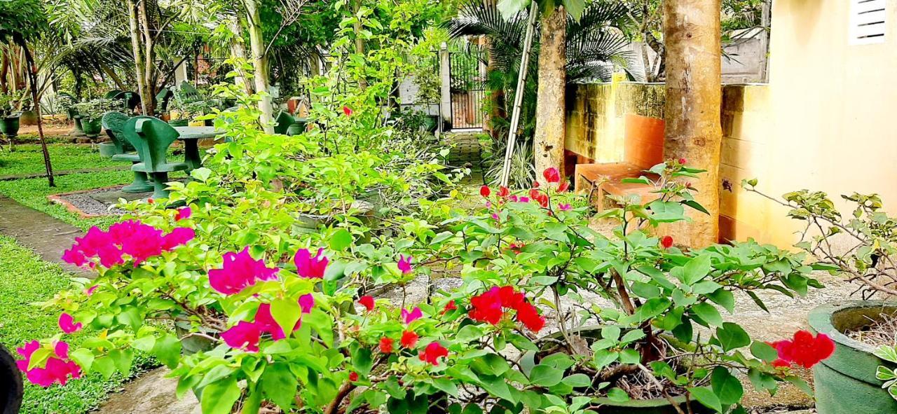 Cinnamon Garden - Hiriketiya Dikwella Exteriör bild