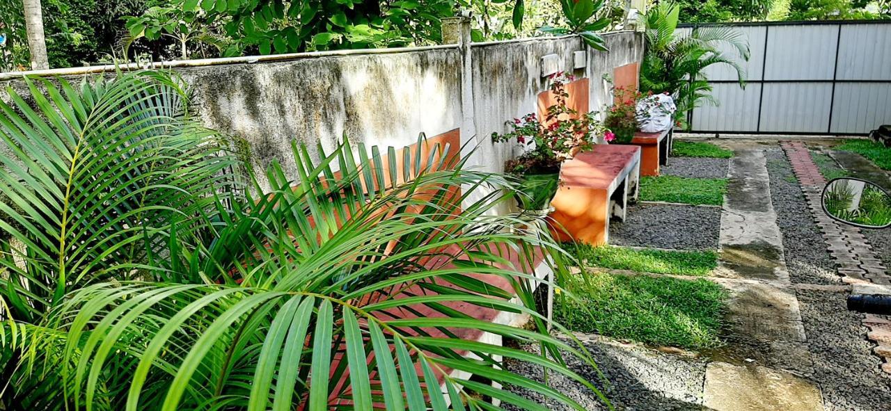 Cinnamon Garden - Hiriketiya Dikwella Exteriör bild
