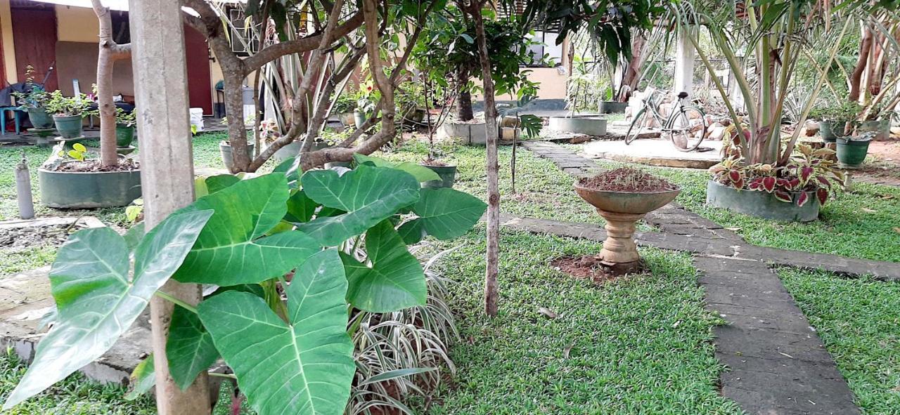 Cinnamon Garden - Hiriketiya Dikwella Exteriör bild