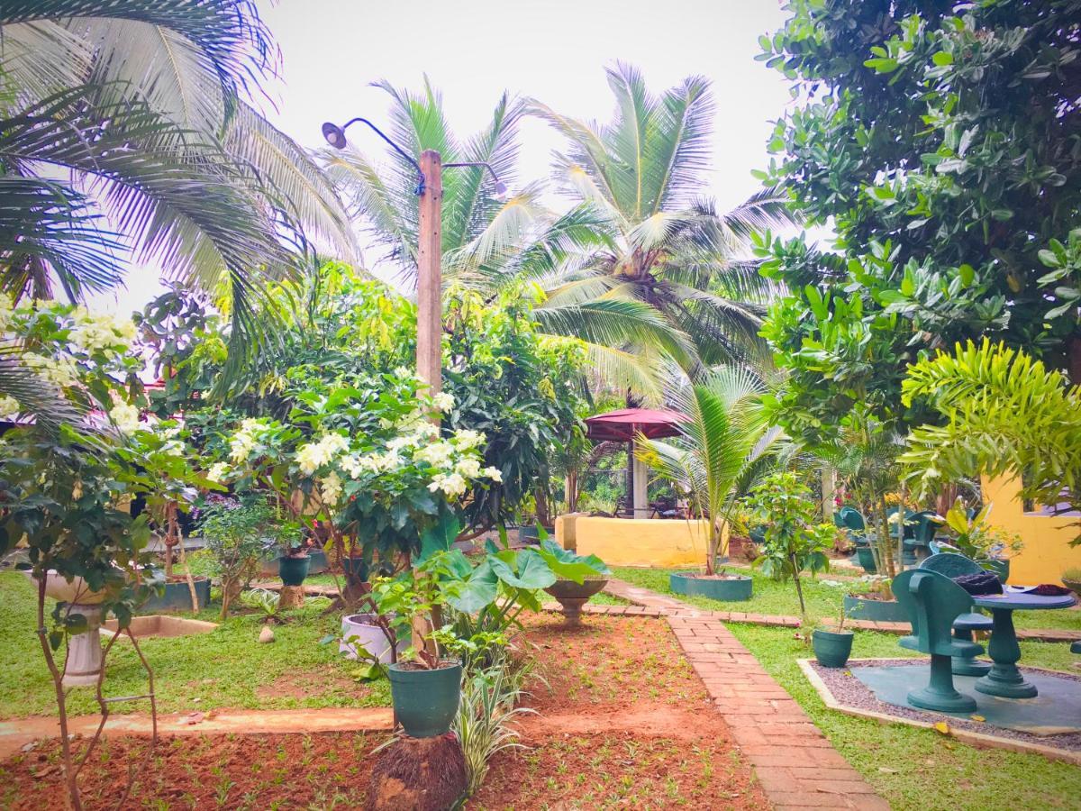 Cinnamon Garden - Hiriketiya Dikwella Exteriör bild