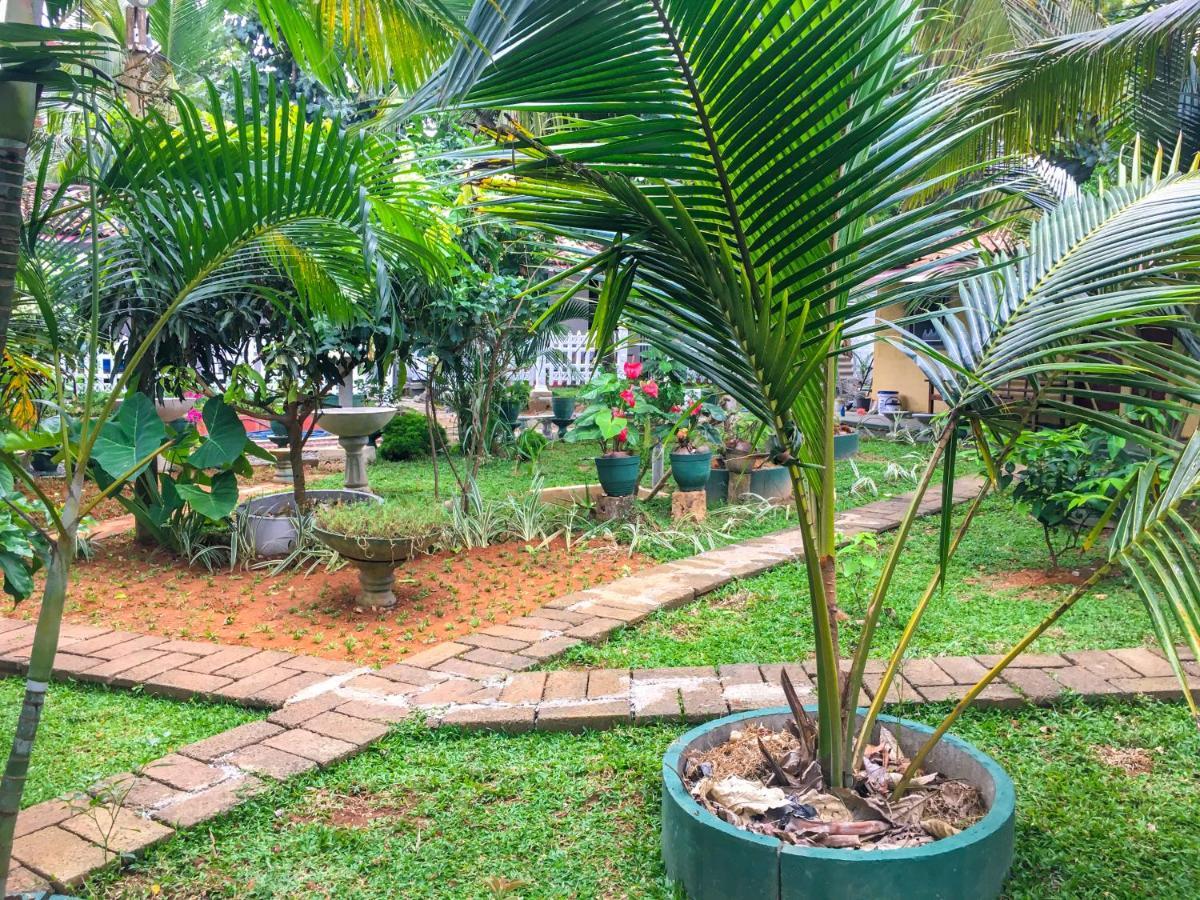 Cinnamon Garden - Hiriketiya Dikwella Exteriör bild